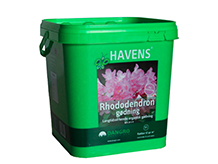 Rhododendron gødning